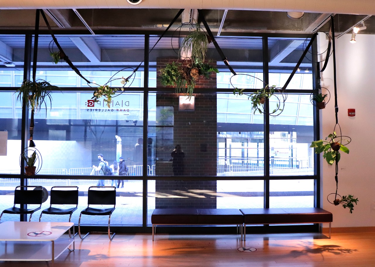 Balance by Michaela Haawe Owen, Steel Rod with black finish, seatbelts, plants 