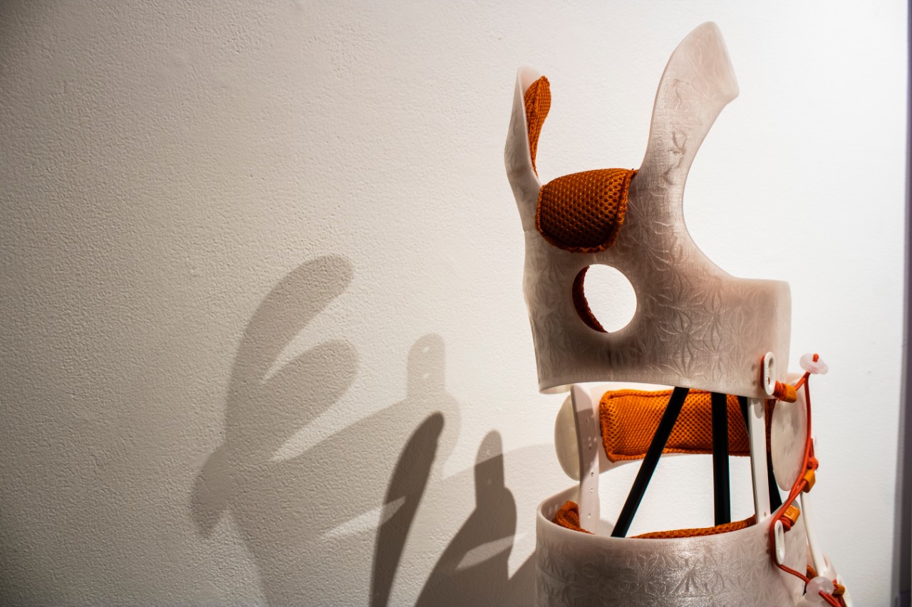 White Ash, Basswood, Birch Plywood, White Pine, Hard Maple