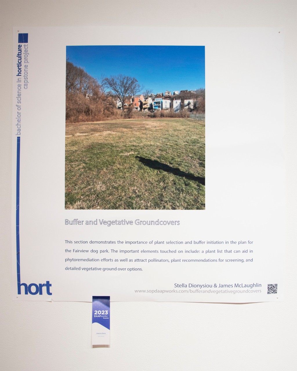 Buffer and Vegetative Groundcovers