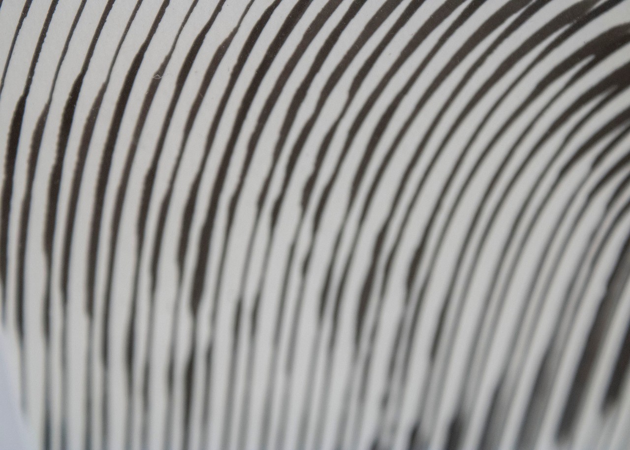 Portrait by Al and Robot