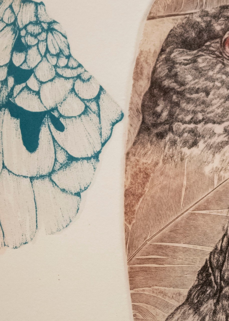 Soft ground etching and screen print