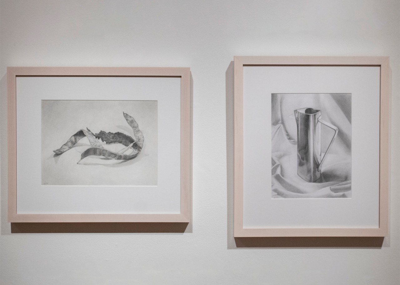 Locust Tree Bean Pods and Scrap Rubber Tire, 2021 and Anthropocene Contemplation, 2020 – Brigid O’Kane