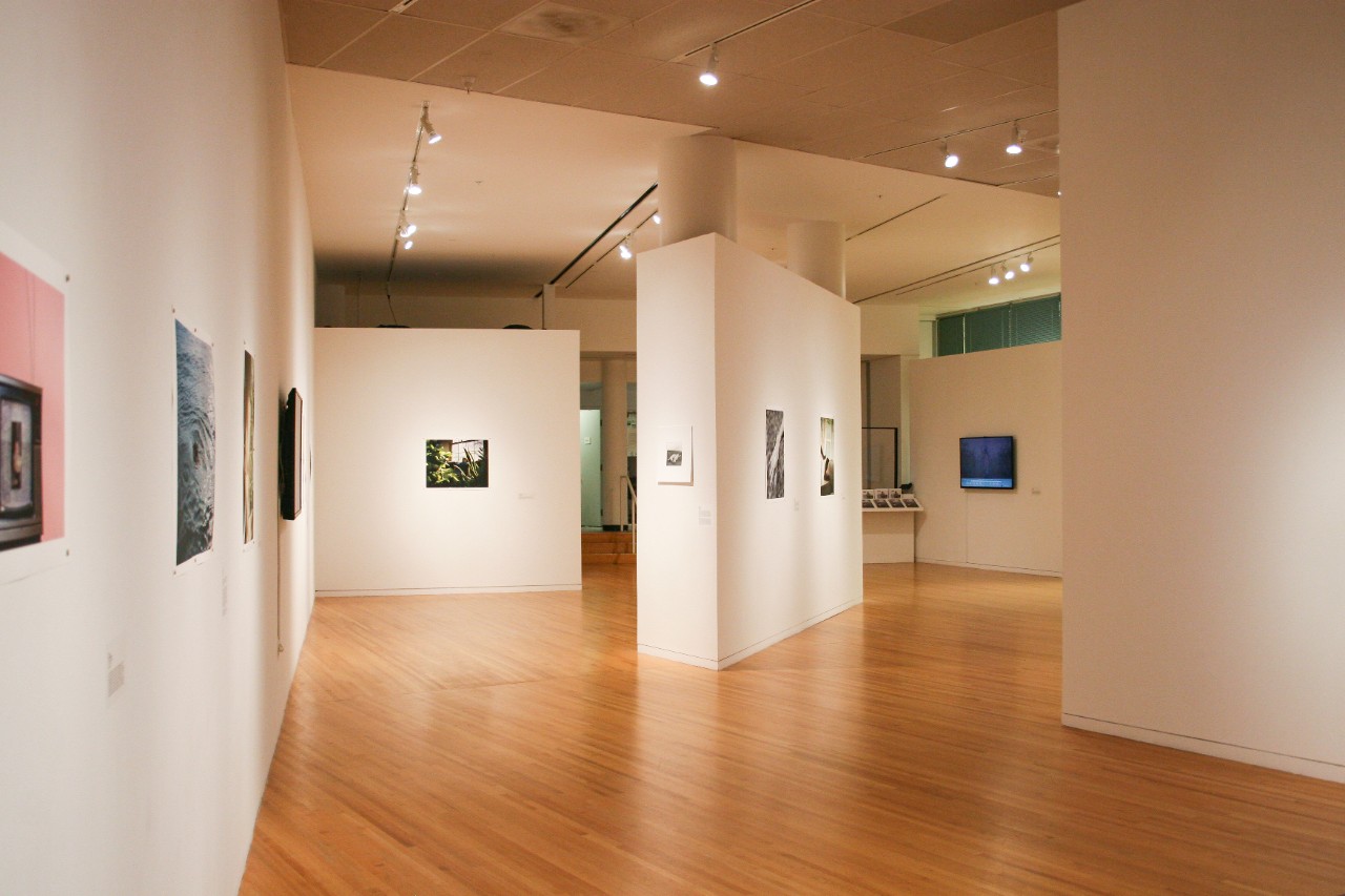 Reed Gallery C Entrance