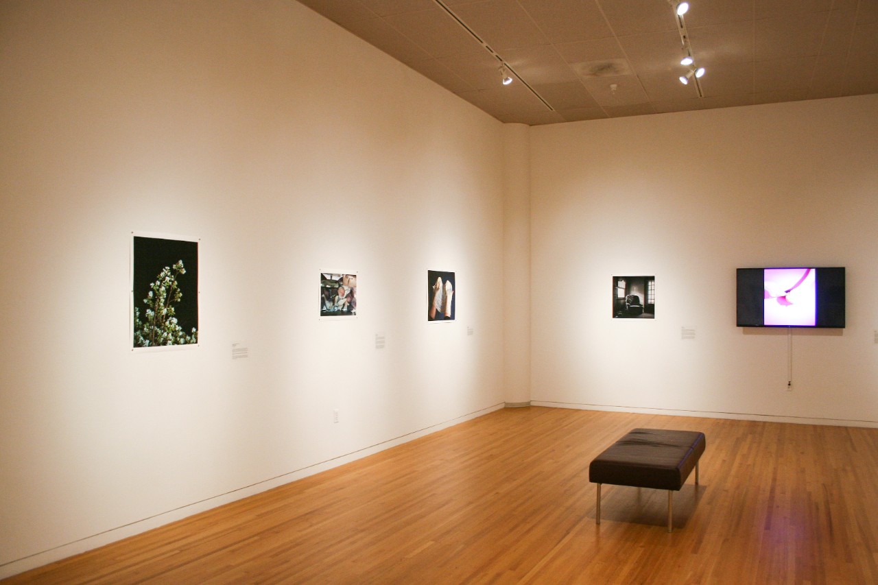 Reed Gallery C Entrance