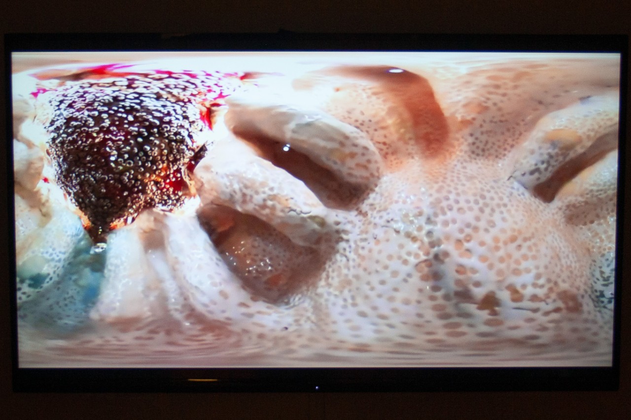 video of ceramic installation