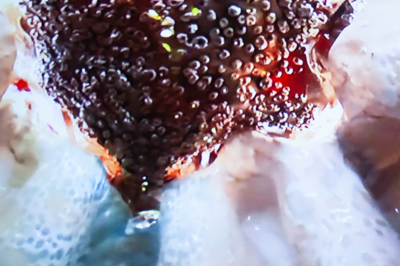 detail on video piece