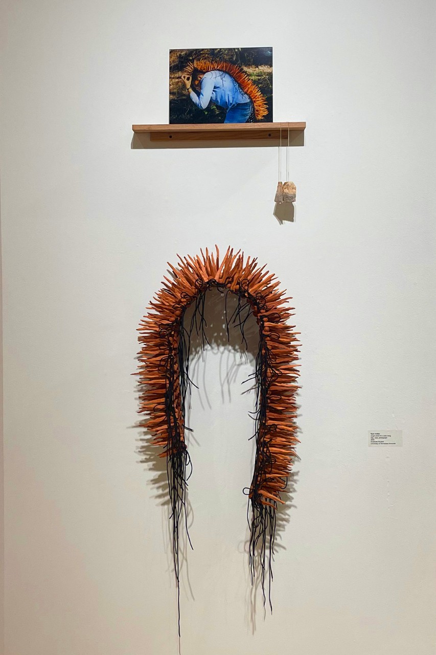 kyle cottier's artwork "rough travel for a rare thing" 