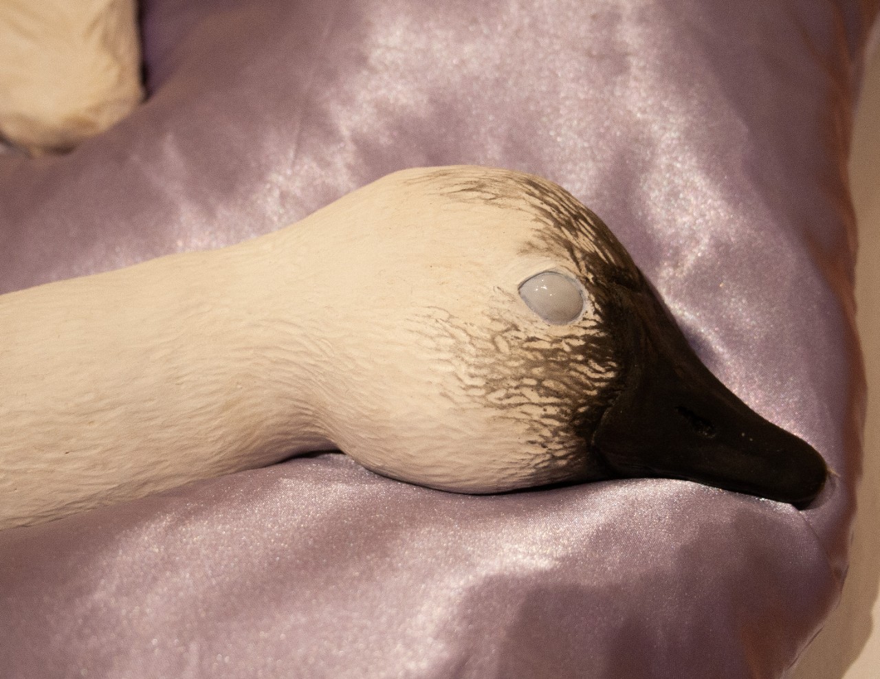 detail of goose head