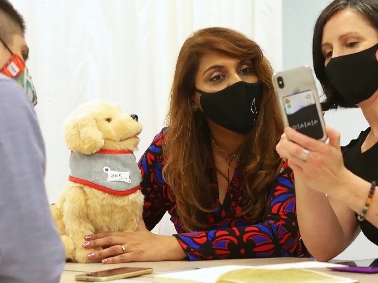 ARTCan and ARCCan: Art and Pet Robot Therapy Applications