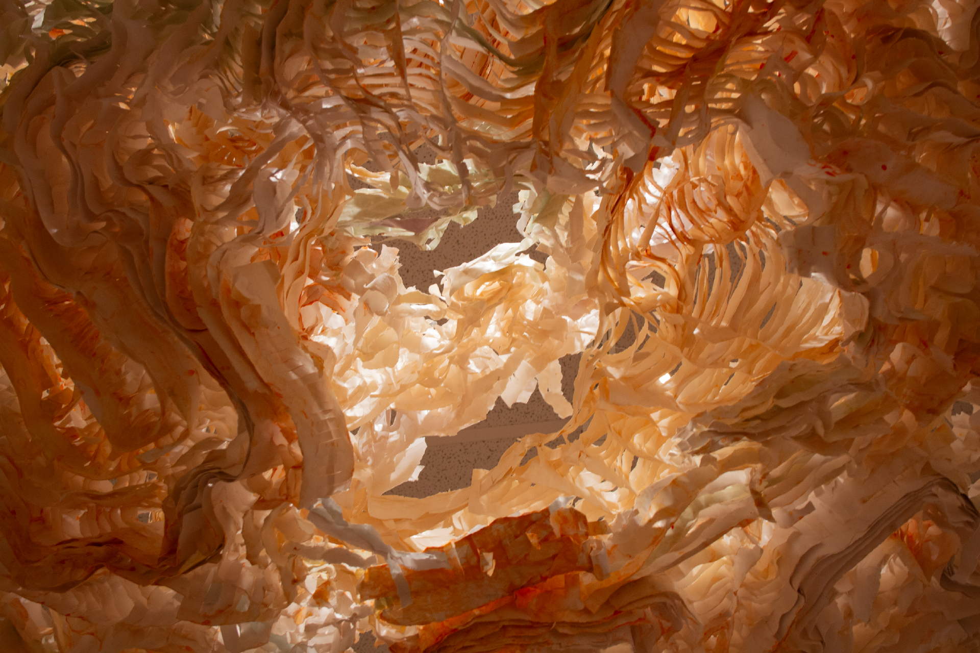 Yellowstone Pulp, 2021, close up