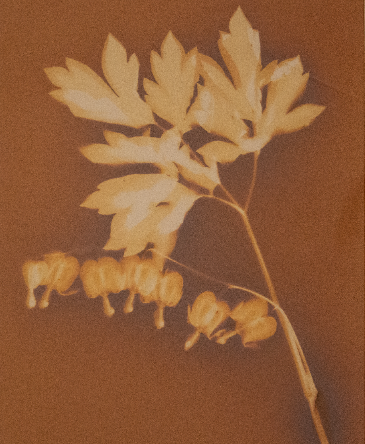 Embroidered Purse Peony, 2022