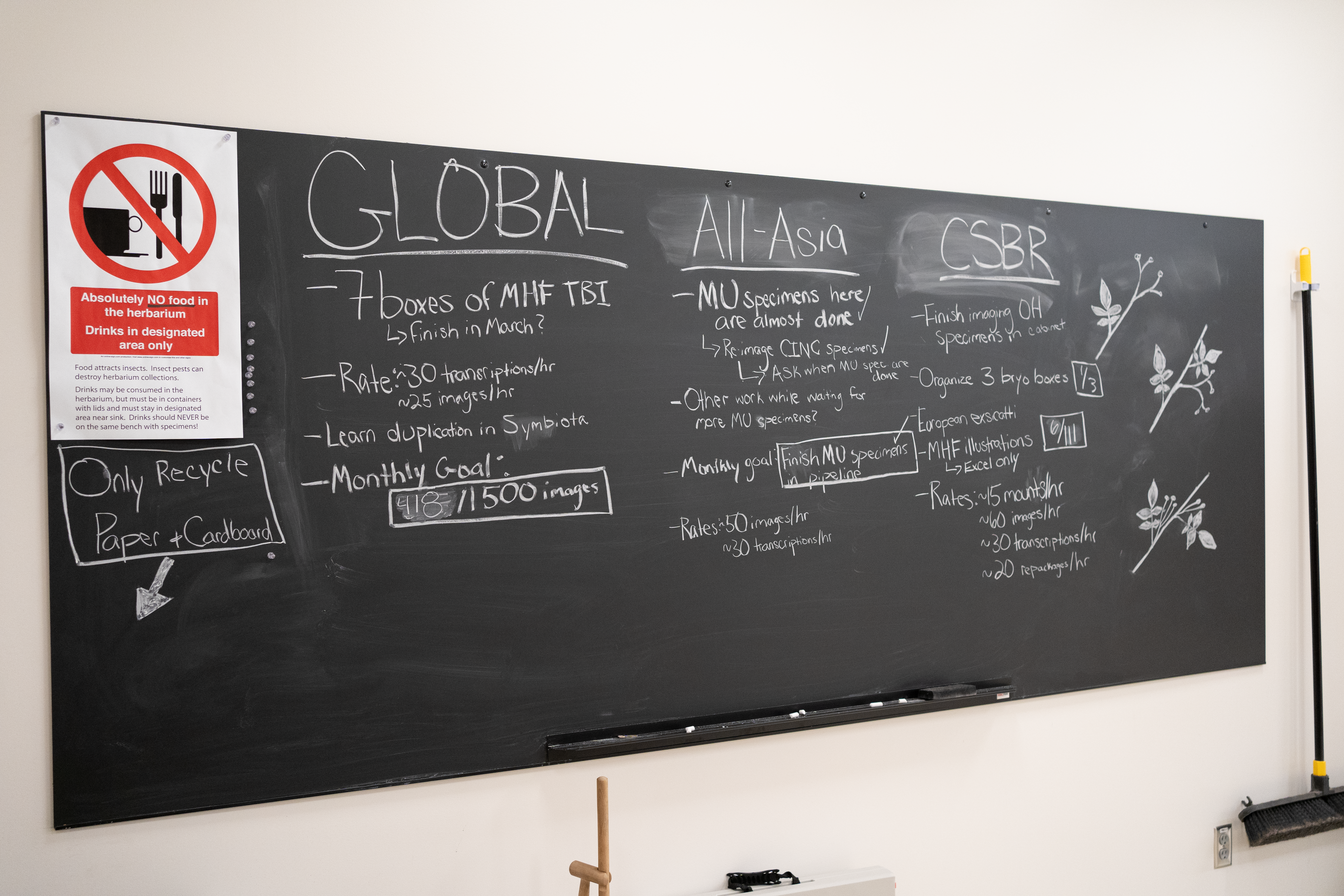 Cara Robinson's work on a chalkboard