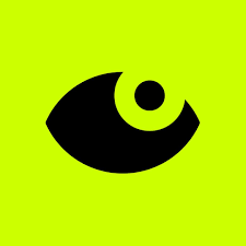 Ornamentalism book by Anne Anlin Cheng